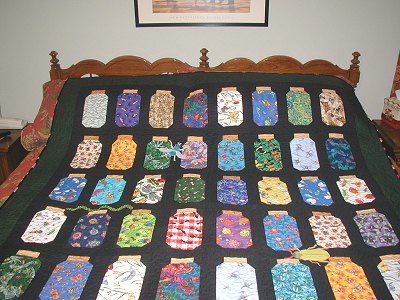 Free Baby Quilt Patterns  Beginners on Self Drafted Pattern Patterns Is A Bug Bottle Quilt Sewing Pattern