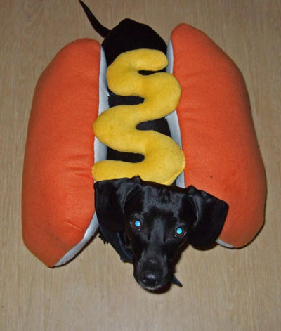 I made the 'Hot Dog' costume. I would not really classify this as s